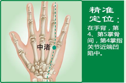 中渚(1).jpg