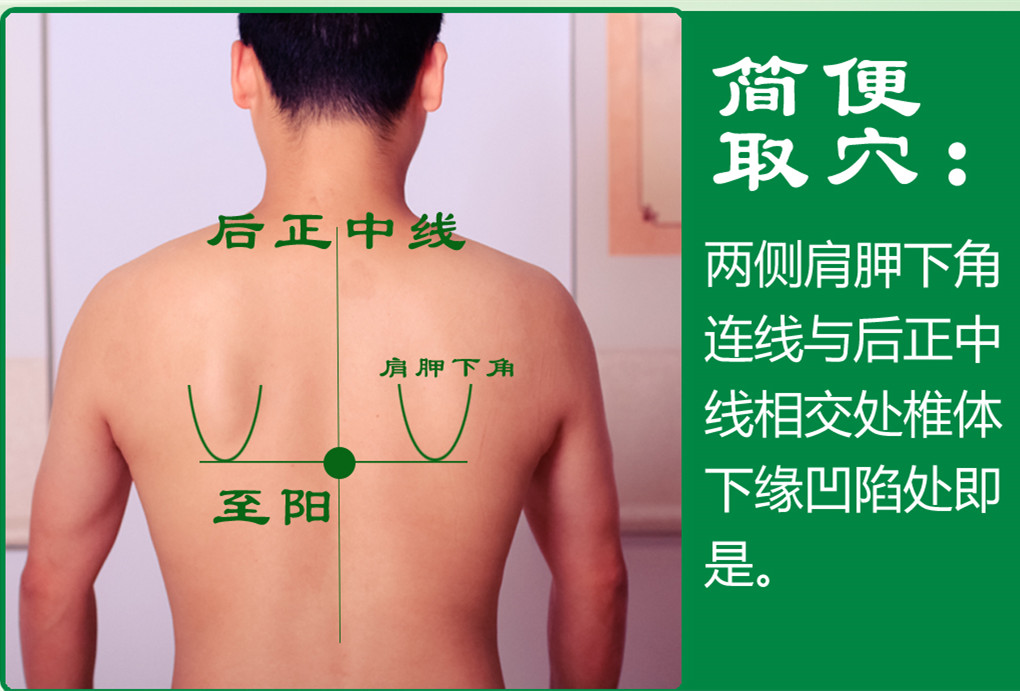 至阳_2.jpg