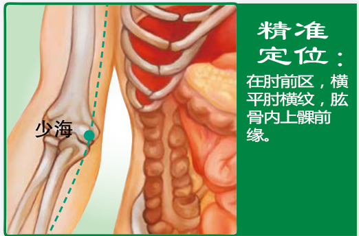 少海1.png