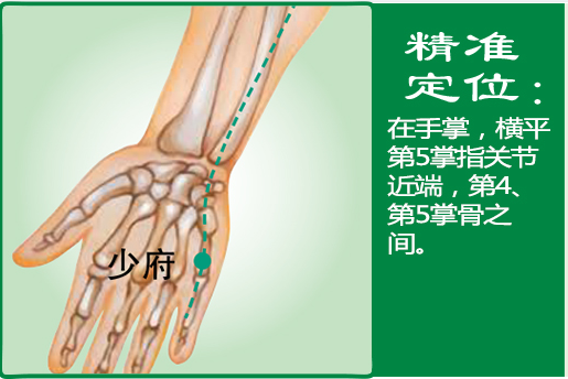 少府1.png
