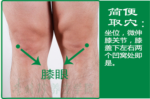 33、膝眼2.jpg